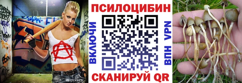 даркнет как зайти  купить закладку  kraken онион  Пущино  Галлюциногенные грибы Psilocybine cubensis 